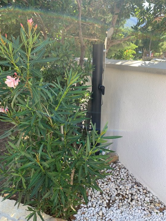 Apartment Monti with Sea View