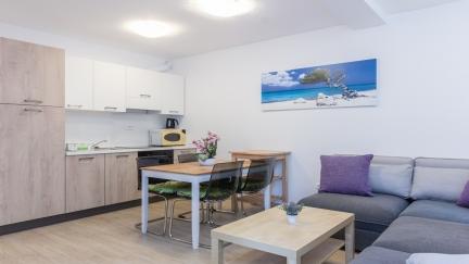 Apartman Ivi s balkonom