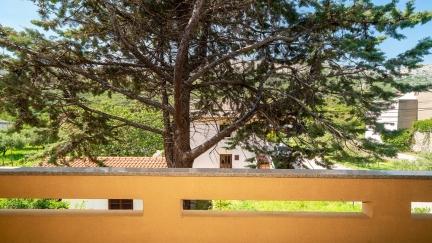 Kuća Magnolia - Apartman Sara s 3 spavaće sobe