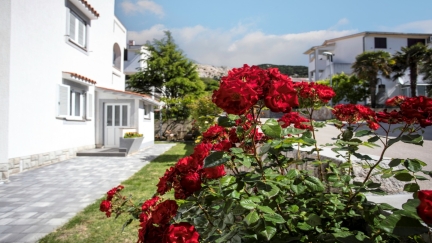 Studio apartman Diana 7