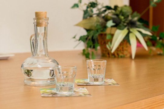 Studio Apartment Vale in Old Town