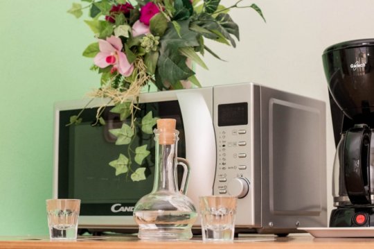 Studio Apartment Vale in Old Town