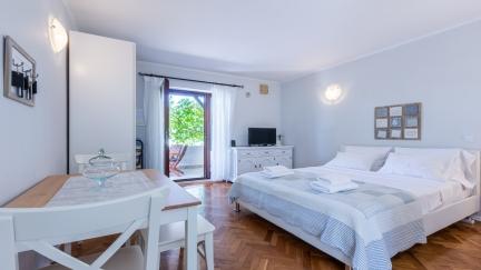 Studio Apartman Vladan