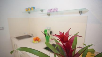 Studio Apartma Katarina Blizu plaže