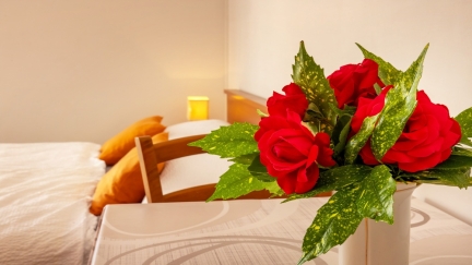 Studio Apartma Matea 2